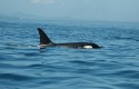 San Juan Island